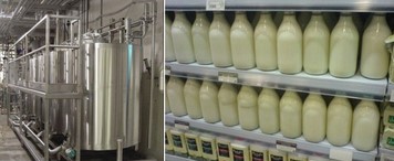 Dairy Chillers 1.jpg