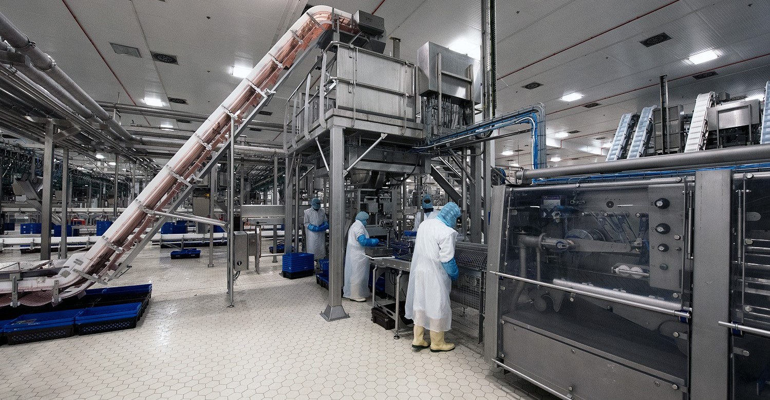 Meat Process Chiller 1